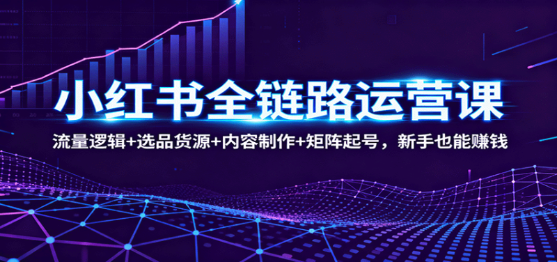 小红书全链路运营课:流量逻辑 选品货源 内容制作 矩阵起号,新手也能赚钱-51云资源