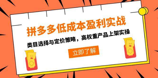 （15143期）拼多多低成本盈利实战，类目选择与定价策略，高权重产品上架实操-51云资源
