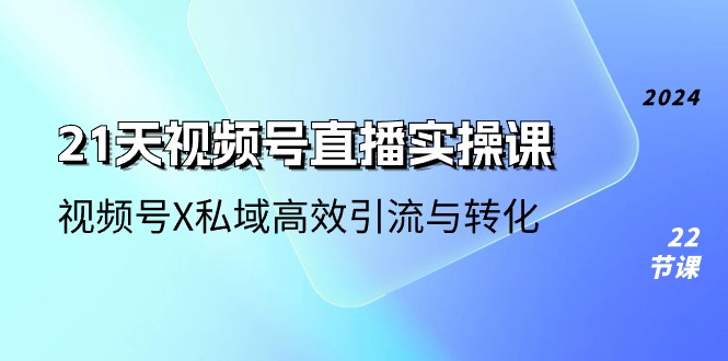 (10966期)21天-视频号直播实操课,视频号X私域高效引流与转化(22节课)