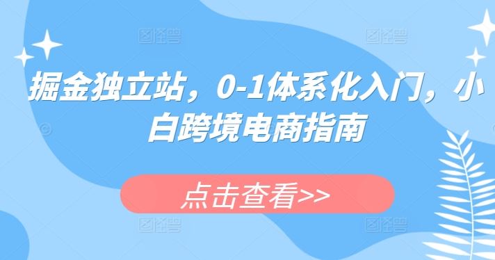 掘金独立站,0-1体系化入门,小白跨境电商指南