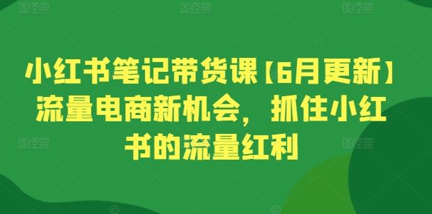 小红书笔记带货课【6月更新】流量电商新机会,抓住小红书的流量红利-51云资源