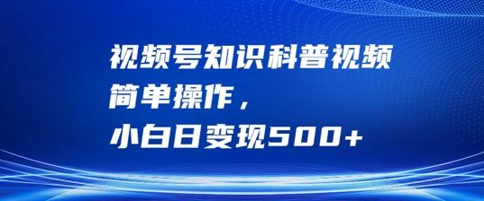 视频号知识科普视频,简单操作,小白日变现500 【揭秘】