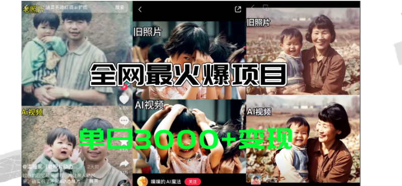 (11546期)全网爆火的AI让老照片动起来教程,蹭热点日赚3000 ,内含免费工具一键…-51云资源