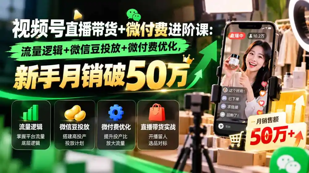 视频号直播带货 微付费进阶课-更新1010：流量逻辑 微信豆投放 微付费优化，新手月销破50万-51云资源