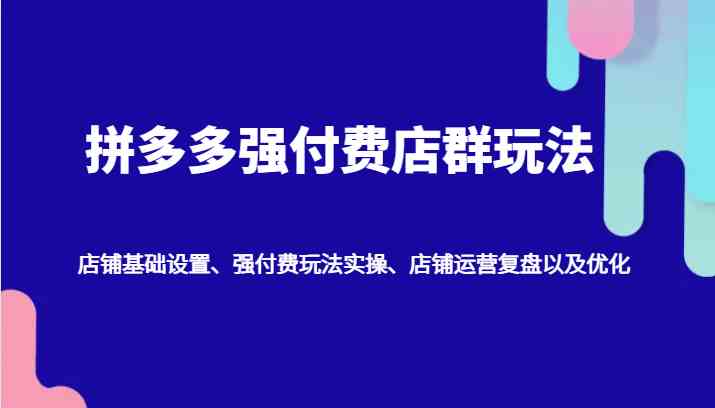 拼多多强付费店群玩法：店铺基础设置、强付费玩法实操、店铺运营复盘以及优化-51云资源