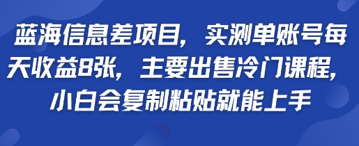 蓝海信息差项目，实测单账号每天收益多张，主要出售冷门课程，小白会复制粘贴就能上手-51云资源