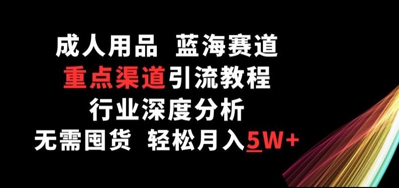 成人用品，蓝海赛道，重点渠道引流教程，行业深度分析，无需囤货，轻松月入5W 【揭秘】-51云资源