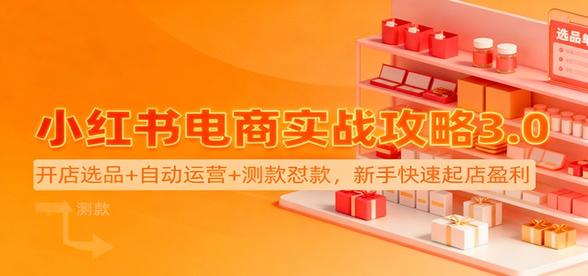 小红书电商实战攻略3.0:开店选品 自动运营 测款怼款,新手快速起店盈利-51云资源
