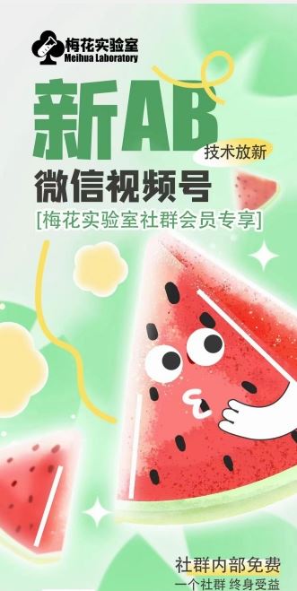 梅花实验室2024年AB技术视频号AB合成破解版-51云资源