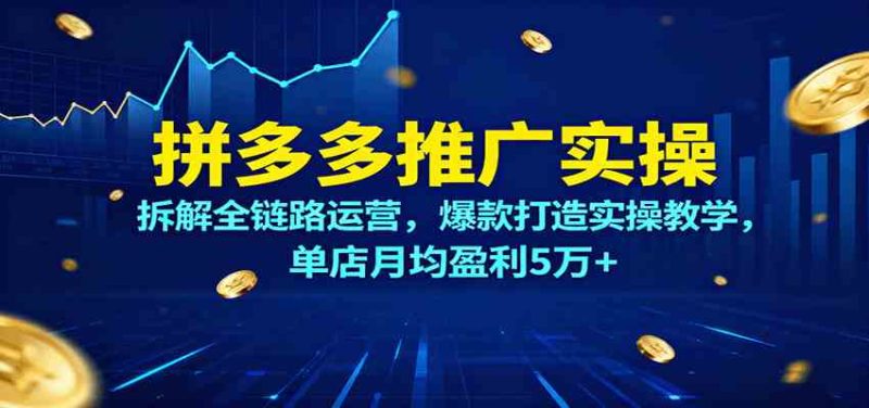拼多多推广实操,拆解全链路运营,爆款打造实操教学,单店月均盈利5万-51云资源