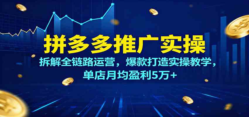 拼多多推广实操,拆解全链路运营,爆款打造实操教学,单店月均盈利5万