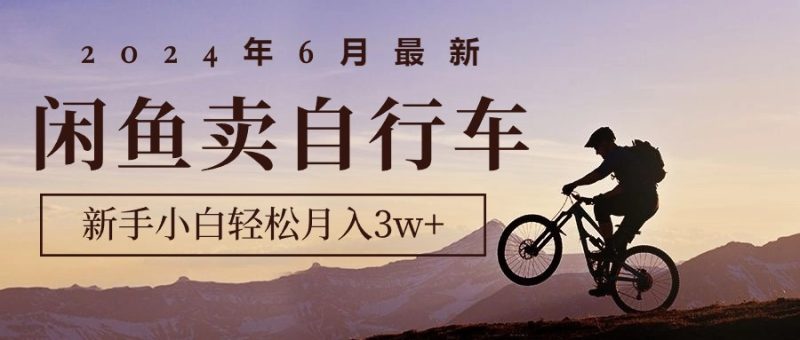 (10915期)2024年6月最新闲鱼卖自行车,新手小白轻松月入3w 项目-51云资源