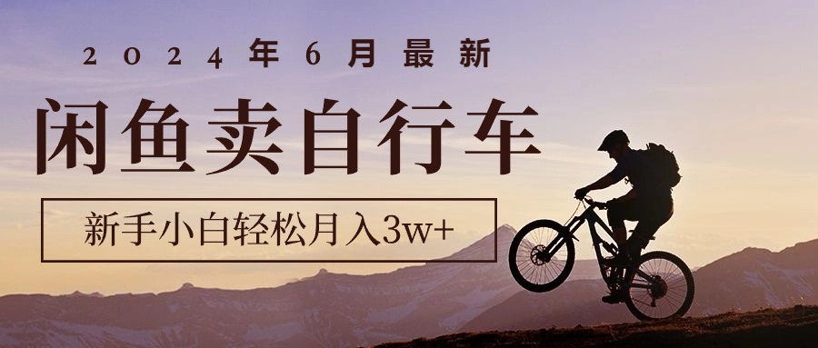 (10915期)2024年6月最新闲鱼卖自行车,新手小白轻松月入3w 项目