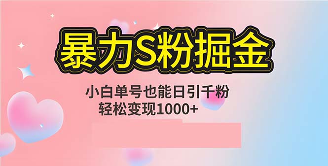 （12778期）单人单机日引千粉，变现1000 ，S粉流量掘金计划攻略-51云资源