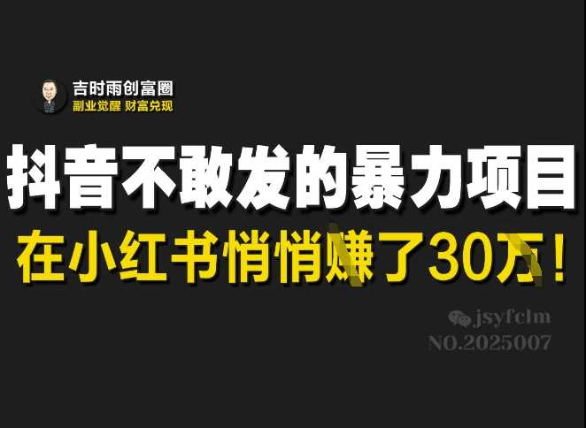抖音不敢发的暴利项目，在小红书悄悄挣了30W-51云资源