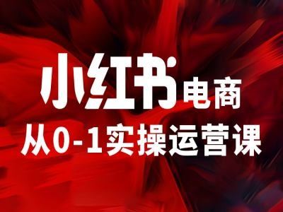 小红书电商从0-1实操运营课，让你从小白到精英-51云资源