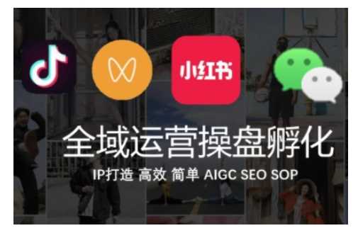全域运营操盘(抖音 私域 小红书),IP打造高效简单