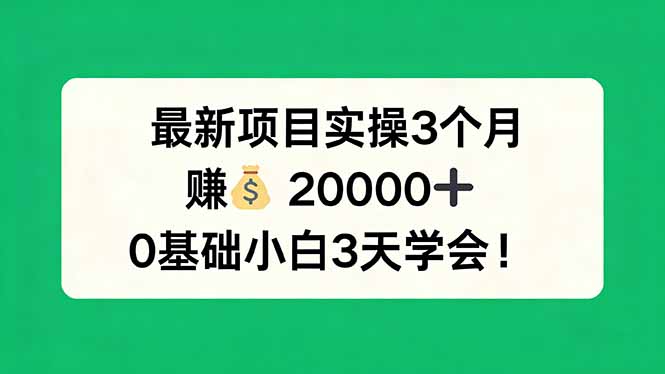 最新项目实操3个月，赚钱20000 ，0基础小白3天学会！-51云资源