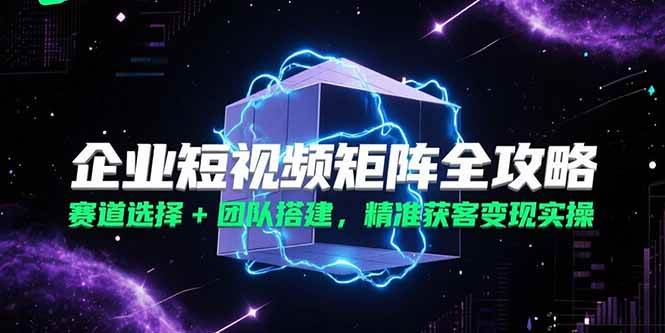 (15242期)企业短视频矩阵全攻略,赛道选择 团队搭建,精准获客变现实操-51云资源