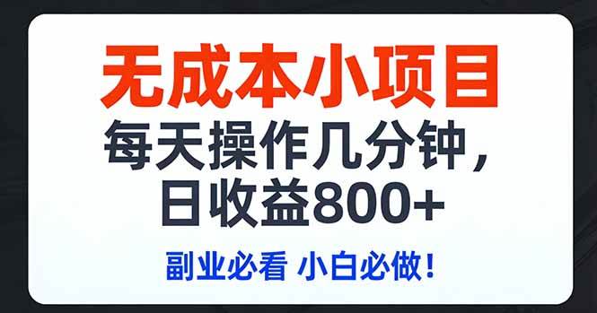 （17447期）无成本小项目,每天操作几分钟,日收益800  副业必看 小白必做！-51云资源