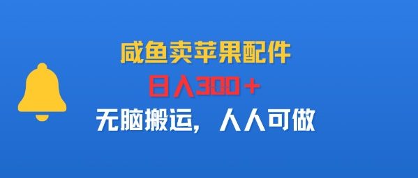 咸鱼卖苹果配件，日入3张 ，无脑搬运，人人可做-51云资源