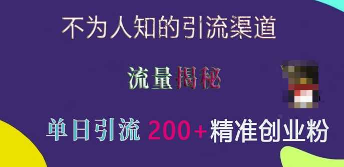 不为人知的引流渠道，流量揭秘，实测单日引流200 精准创业粉【揭秘】-51云资源