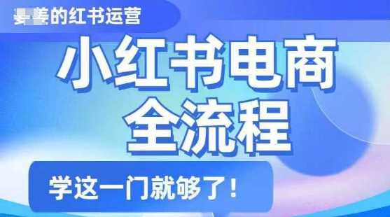 小红书电商全流程,精简易懂,从入门到精通,学这一门就够了-51云资源