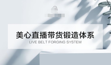 直播带货锻造体系课,5G时代美心一站式帮你开启直播带货之路【音频】-51云资源