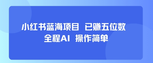 小红书蓝海项目，全程AI，操作简单，已挣五位数-51云资源