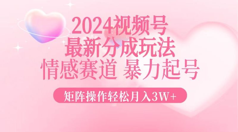 (12922期)2024最新视频号分成玩法,情感赛道,暴力起号,矩阵操作轻松月入3W-51云资源