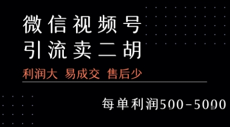 视频号卖二胡教程，利润大 易成交 售后少，一单利润5张-51云资源