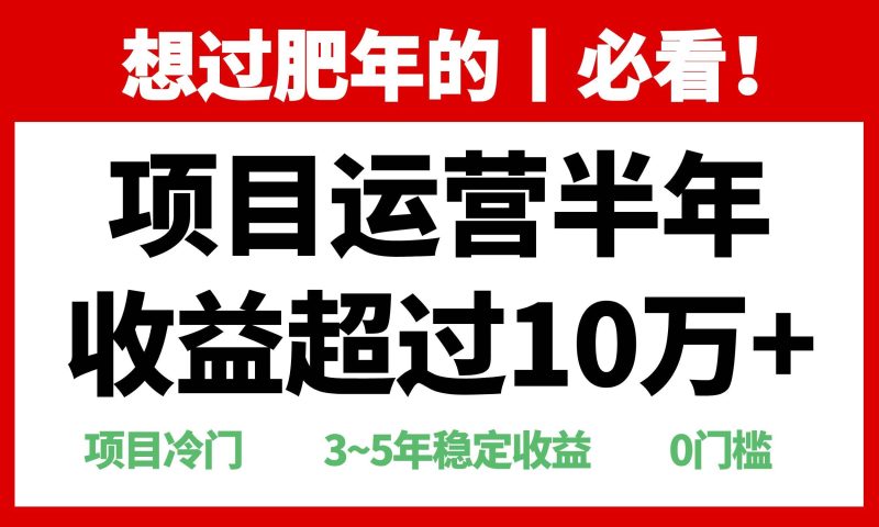 （13663期）年前过肥年的必看的超冷门项目，半年收益超过10万 ，-51云资源