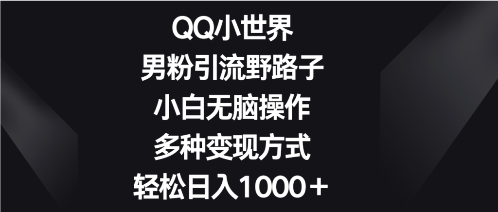 QQ小世界男粉引流野路子,小白无脑操作,多种变现方式轻松日入1000+-51云资源