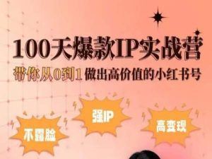 小红书100天爆款IP实战营，带你从0到1做出高价值的小红书号-51云资源