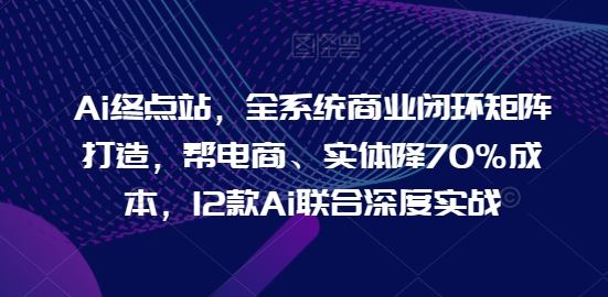 Ai终点站,全系统商业闭环矩阵打造,帮电商、实体降70%成本,12款Ai联合深度实战-51云资源