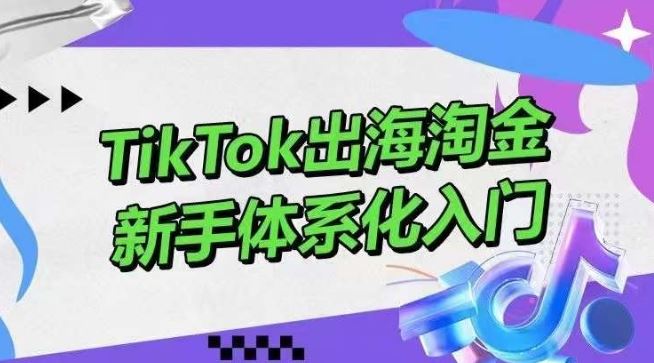 TikTok出海淘金，新手体系化入门，零基础快速入门，掌握短视频、直播带货等引流到变现的知识-51云资源