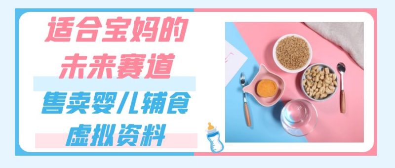 适合宝妈的未来赛道,售卖婴儿辅食虚拟资料,一份 9.9-69.9 元闭眼赚钱-51云资源