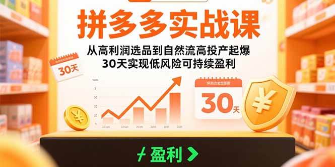 （15586期）拼多多实战课：从高利润选品到自然流高投产起爆 30天实现低风险可持续盈利-51云资源