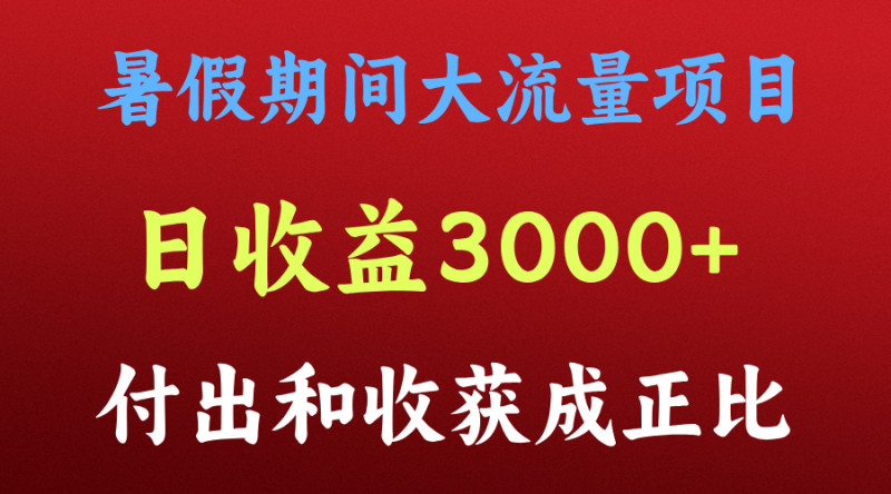 一天收益3000 ,暑假期间, 这个项目才是真火-51云资源