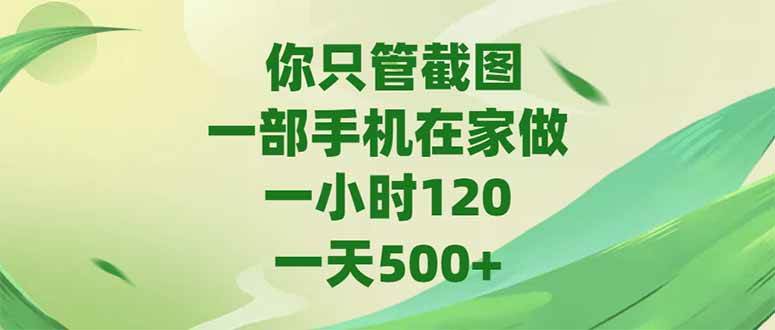 (15039期)你只管截图,一部手机在家做,一小时120,-天500-51云资源