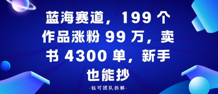 蓝海赛道，199个作品涨粉99W，卖书4300单，新手也能抄-51云资源