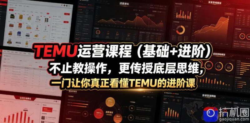 TEMU运营课程(基础 进阶)，不止教操作，更传授底层思维，一门让你真正看懂TEMU的进阶课-51云资源
