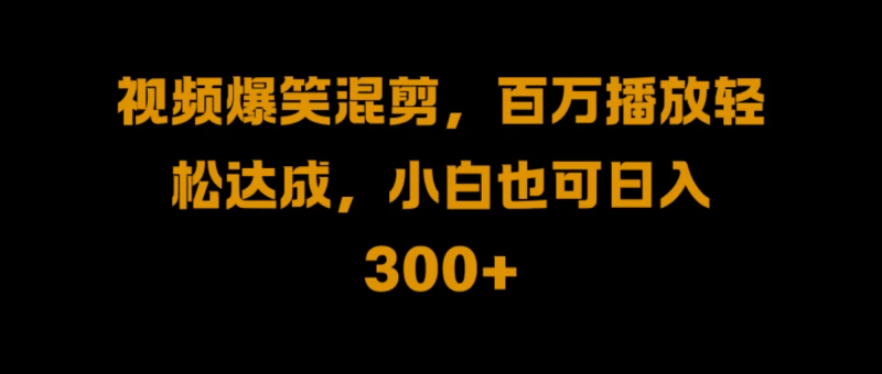视频号零门槛!爆火视频搬运后二次剪辑,轻松达成日入 1000-51云资源