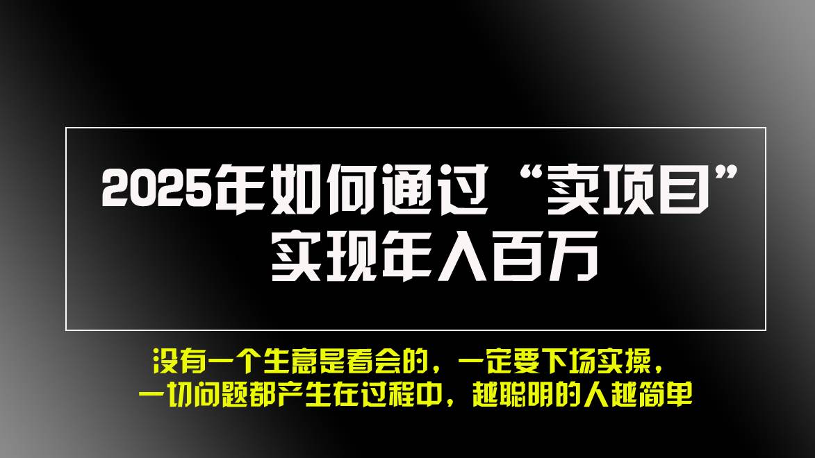 (13468期)2025年如何通过“卖项目”实现年入百万,做网创必看!!