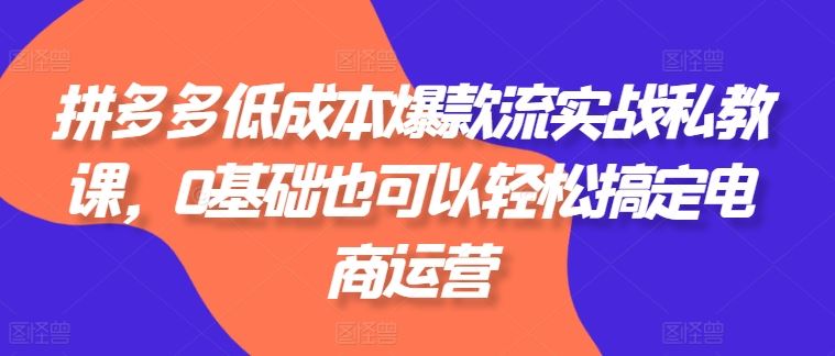 拼多多低成本爆款流实战私教课,0基础也可以轻松搞定电商运营