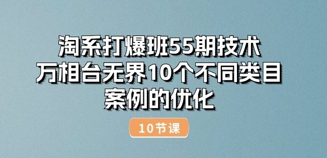 淘系打爆班55期技术：万相台无界10个不同类目案例的优化(10节)-51云资源