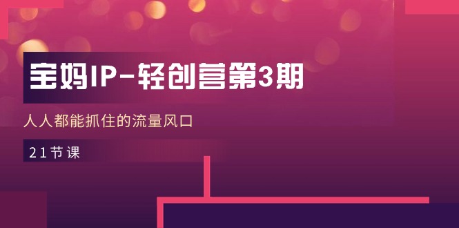宝妈IP轻创营第3期,人人都能抓住的流量风口(21节课)-51云资源