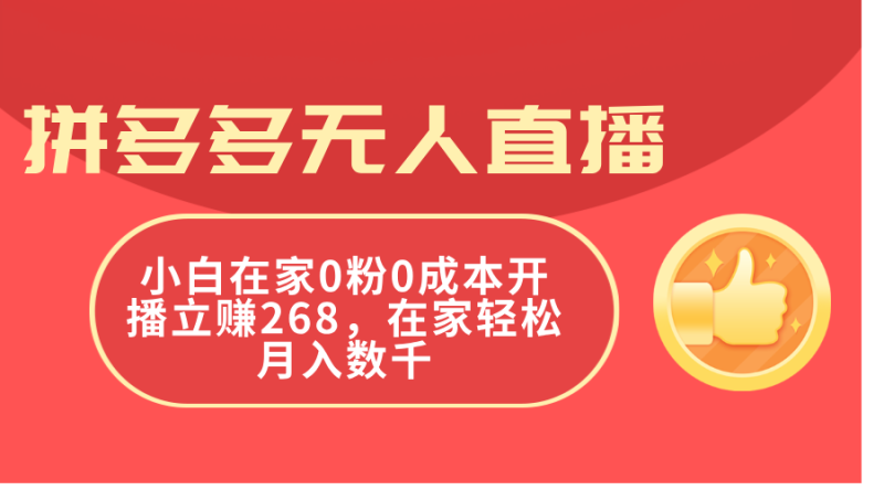 （11521期）拼多多无人直播，小白在家0粉0成本开播立赚268，在家轻松月入数千-51云资源
