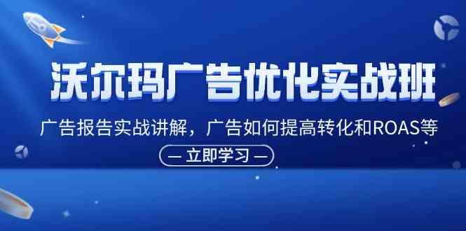 沃尔玛广告优化实战班,广告报告实战讲解,广告如何提高转化和ROAS等-51云资源