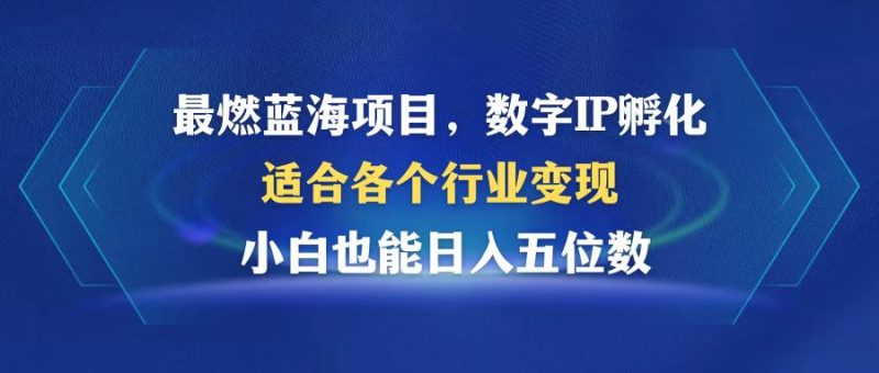 （12941期）最燃蓝海项目 数字IP孵化 适合各个行业变现 小白也能日入5位数-51云资源